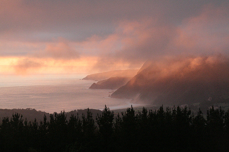 The Ultimate Guide to Embracing Biodiversity